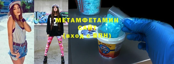 индика Гатчина