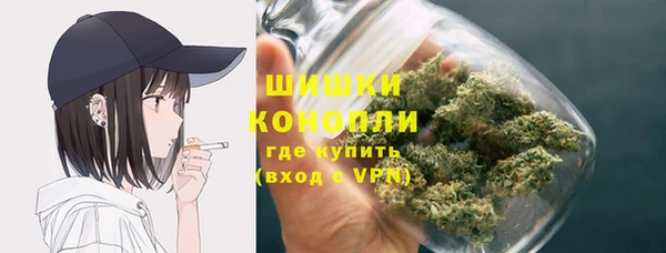 ГАЛЛЮЦИНОГЕННЫЕ ГРИБЫ Алексин