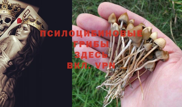 не бодяженный Абинск