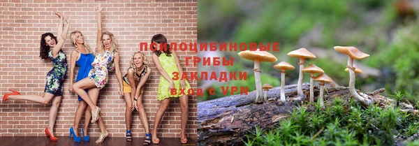 ГАЛЛЮЦИНОГЕННЫЕ ГРИБЫ Алексин