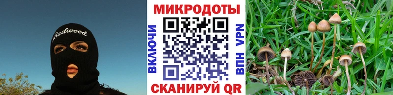 Псилоцибиновые грибы мицелий  блэк спрут ссылки  Касли 