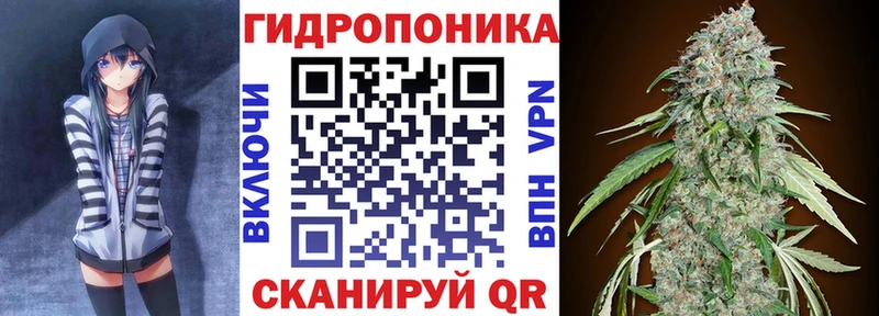 купить  сайты  Касли  Бошки марихуана Bruce Banner 